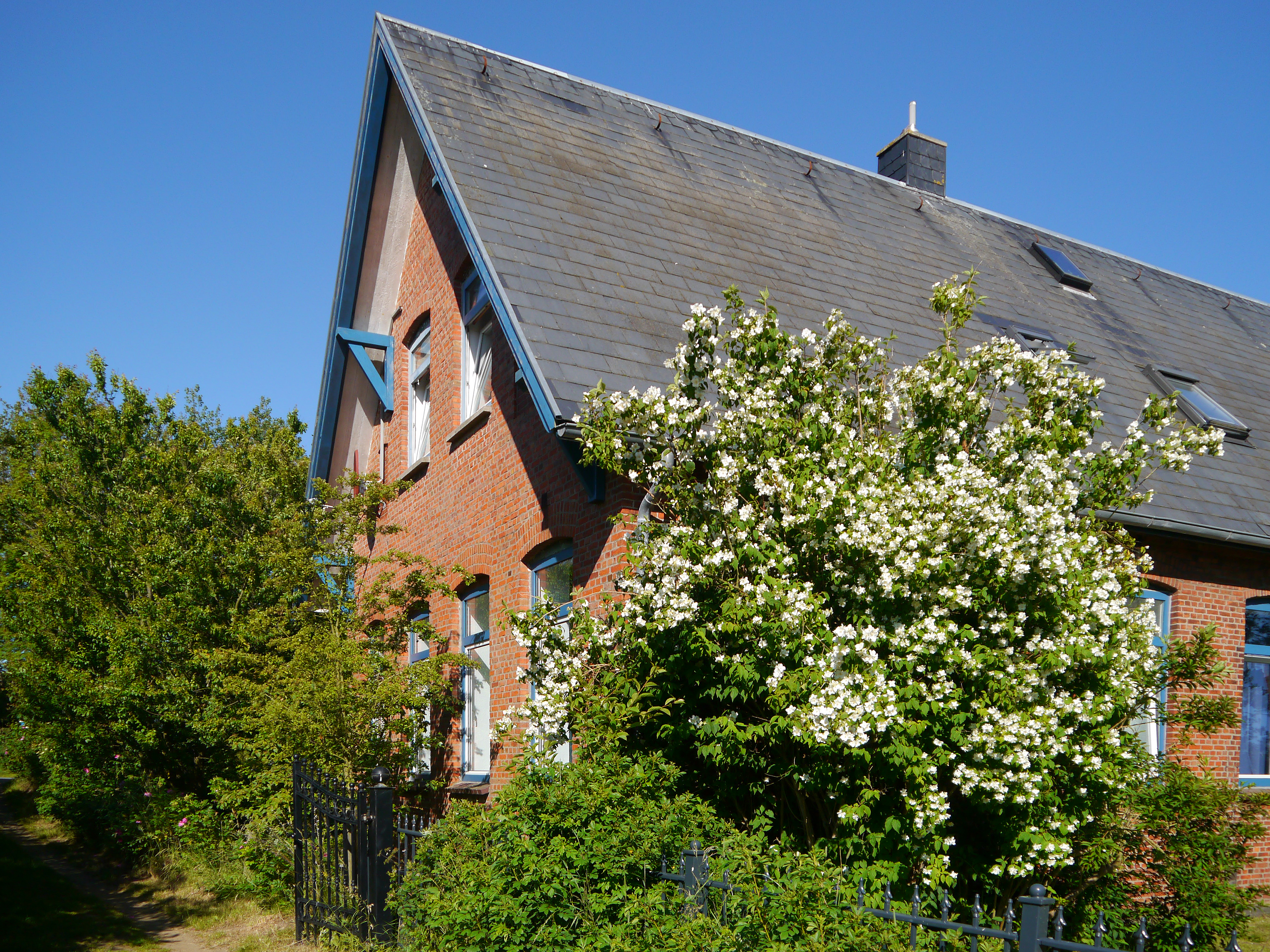 Die Schule im Frühling